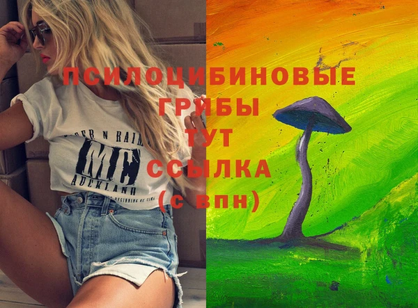 Альфа ПВП Заводоуковск