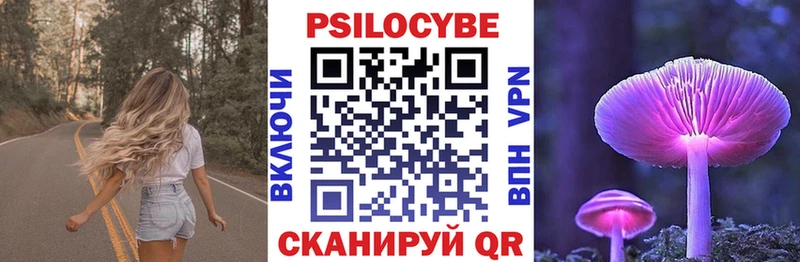 МЕГА сайт  Камбарка  Псилоцибиновые грибы прущие грибы 